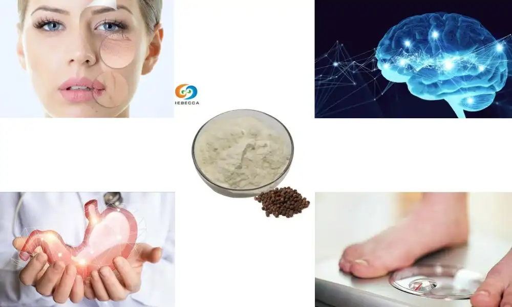 What are the benefits of taking piperine powder?